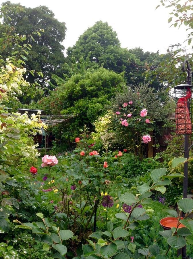 Hyacinth Bed & Breakfast Wellington  Exterior photo