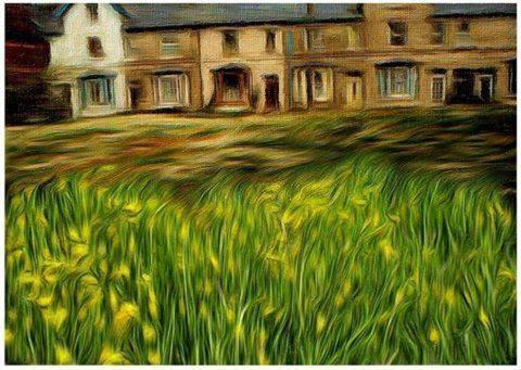 Hyacinth Bed & Breakfast Wellington  Exterior photo